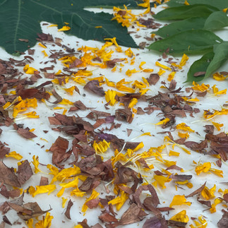 ecoprinting workshop in Chicago