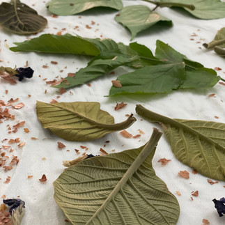 ecoprinting workshop in Chicago