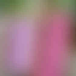 French students participating in a hands-on textile workshop at GIGIPAYNE Studio, working with colorful fabrics around a large table.