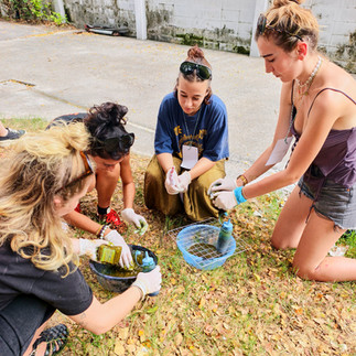 French students participating in a hands-on textile workshop at GIGIPAYNE Studio, working with colorful fabrics around a large table.
