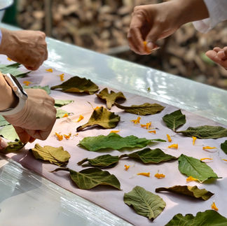 Mixed age group of children bundling eco-print fabric at forest monastery workshop run by GIGIPAYNE Studio Thailand