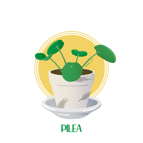 A graphic, stylized illustration of a pilea plant in a white patterned container. There is a circular yellow graphic in the background.
