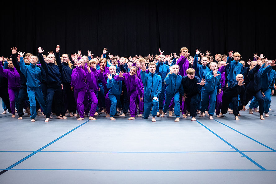 Efterskole Gymnastik