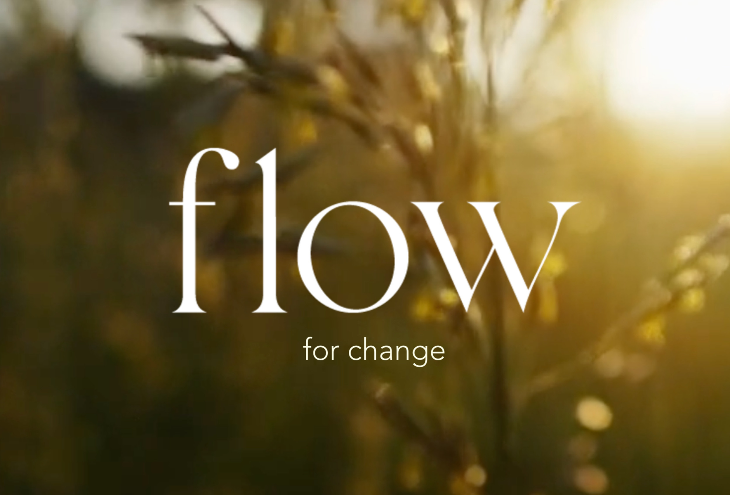 flow for change