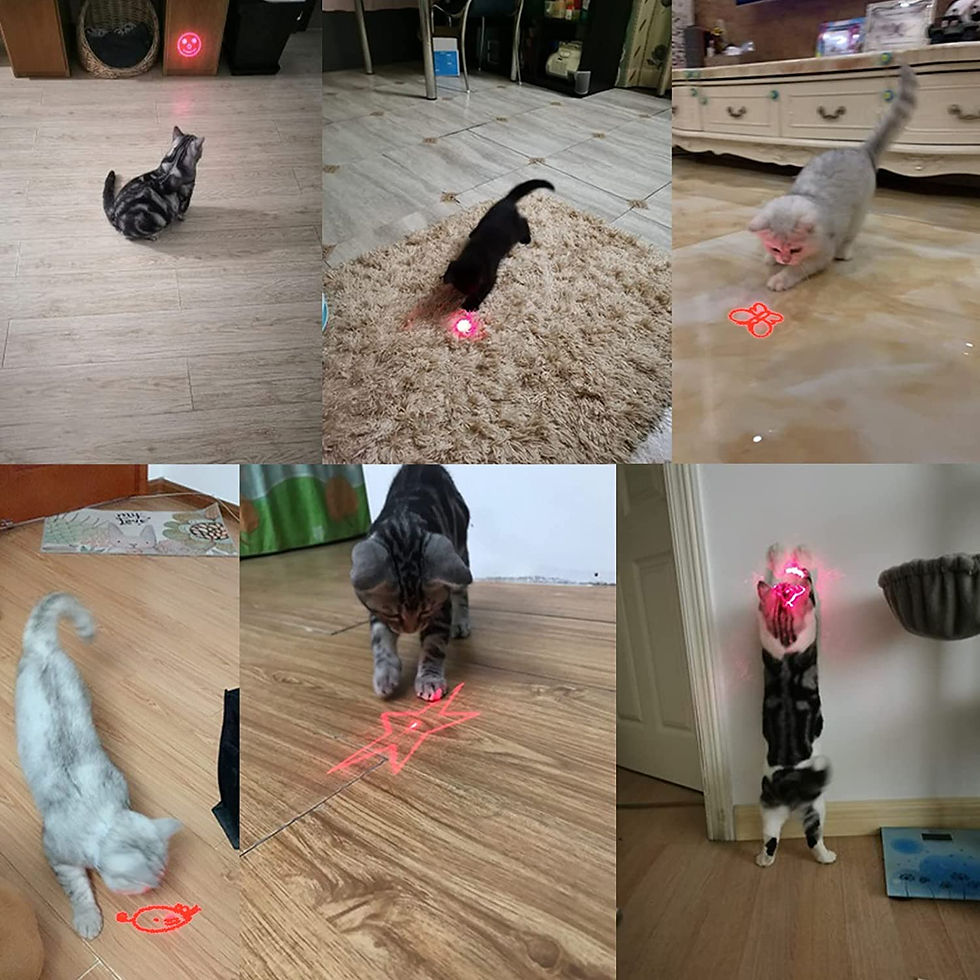 Miniatura: Multifunctional USB Charging Interactive Cat Toy