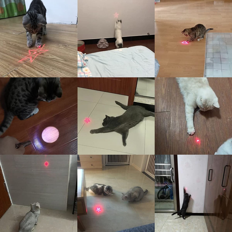 Miniatura: Multifunctional USB Charging Interactive Cat Toy