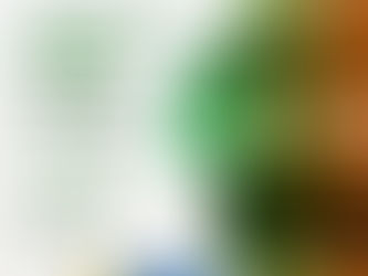 CAMPEONATO CATARINENSE TENIS DE MESA E XADREZ