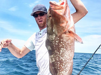 Red grouper fish naples