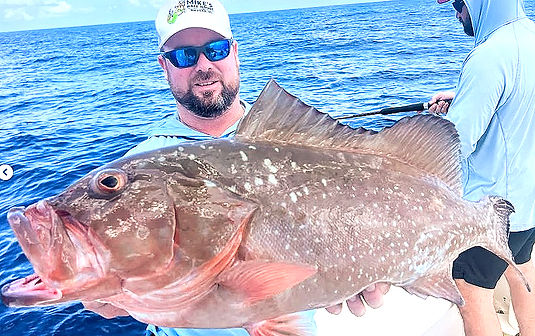 RED GROUPER FISHING NAPLES FL
