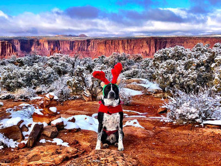 Even whiter Christmas