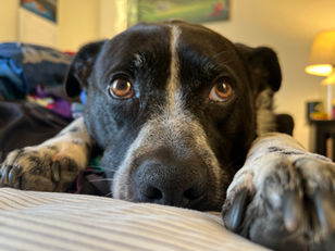 Don’t hold your breath