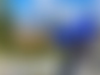 Give me liberty or give me breath