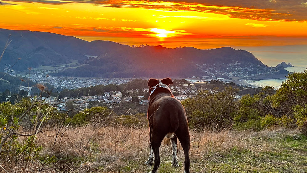 No country for old Friends