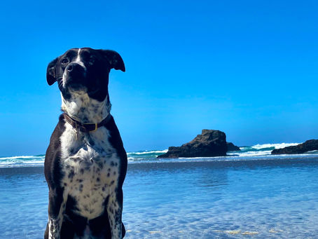 Good offenses make good neighbors