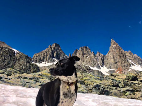 Oscar the superfriend