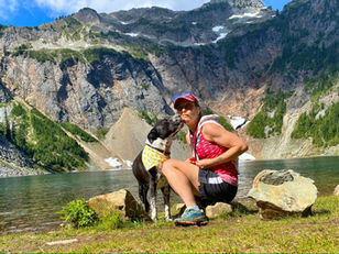 On the internet, no one knows I’m a dog