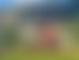 On the internet, no one knows I’m a dog