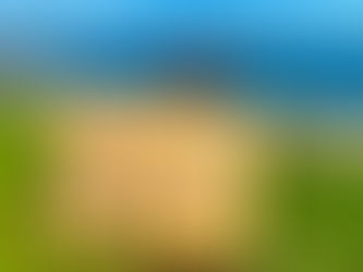 Oscar the cheerleader