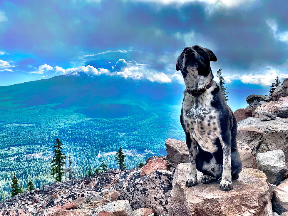 Gone with the windchill