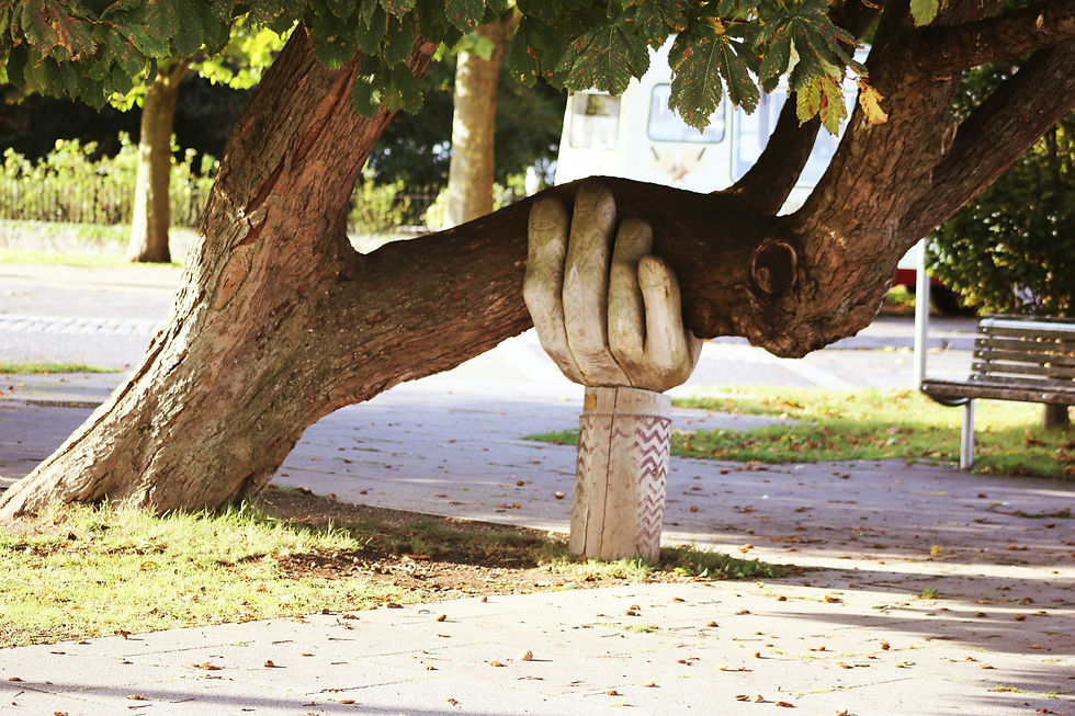 A hand supporting a tree