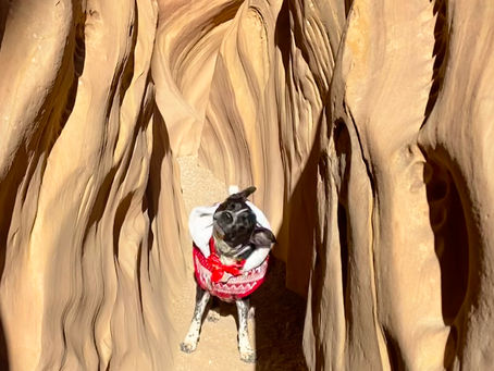 Thriller canyon