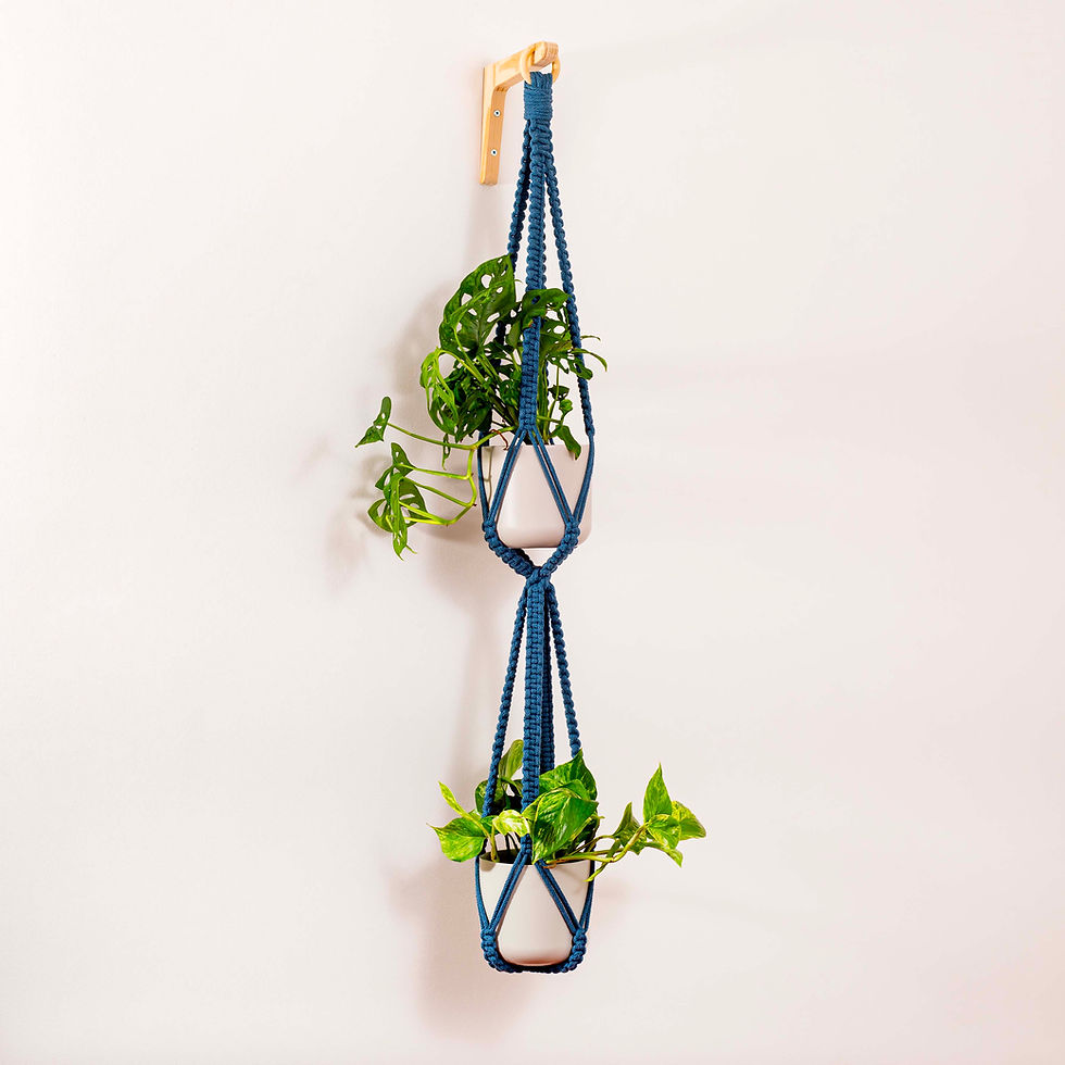 Thumbnail: Double plant hanger in blue colour
