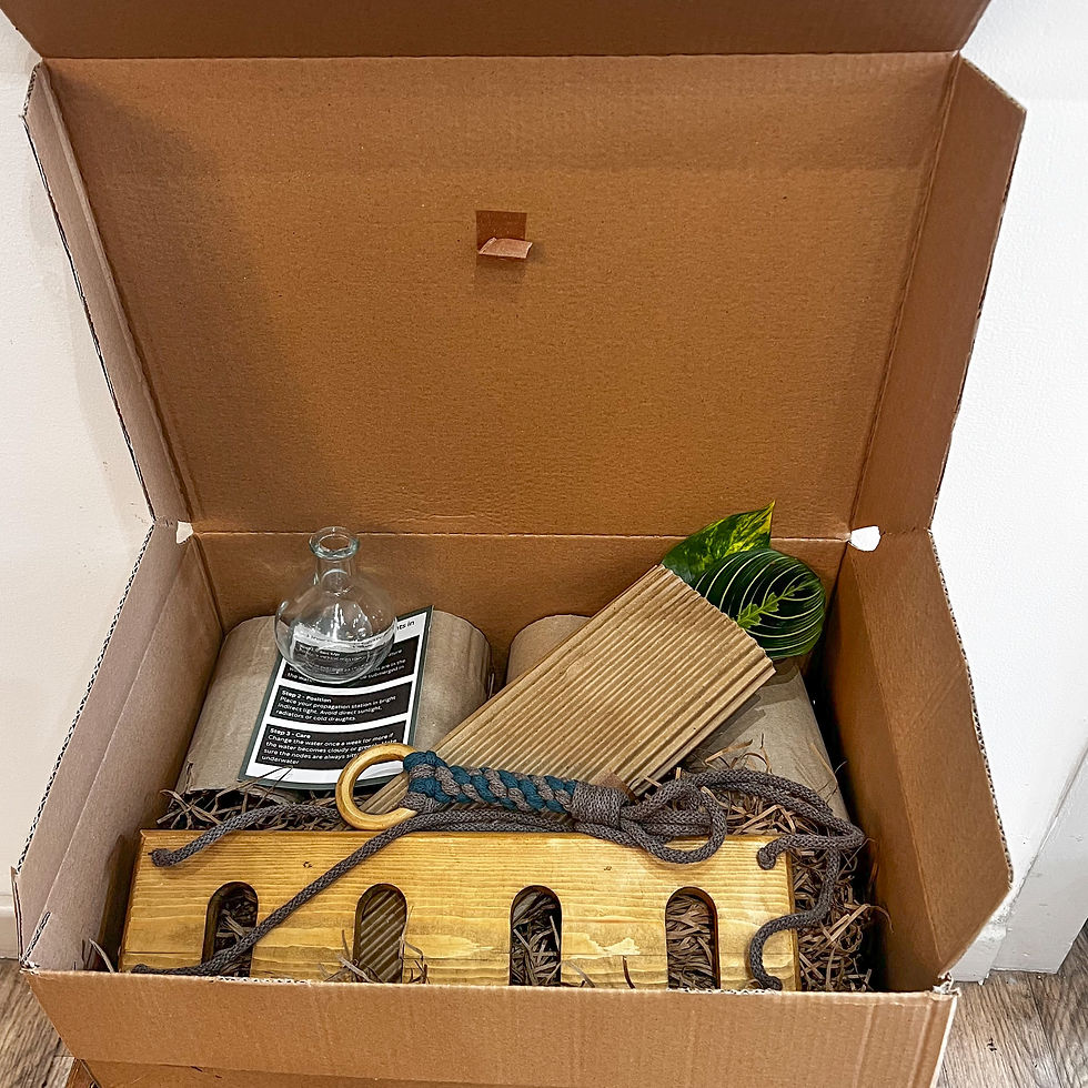 Thumbnail: Propagation Shelf Gift Set