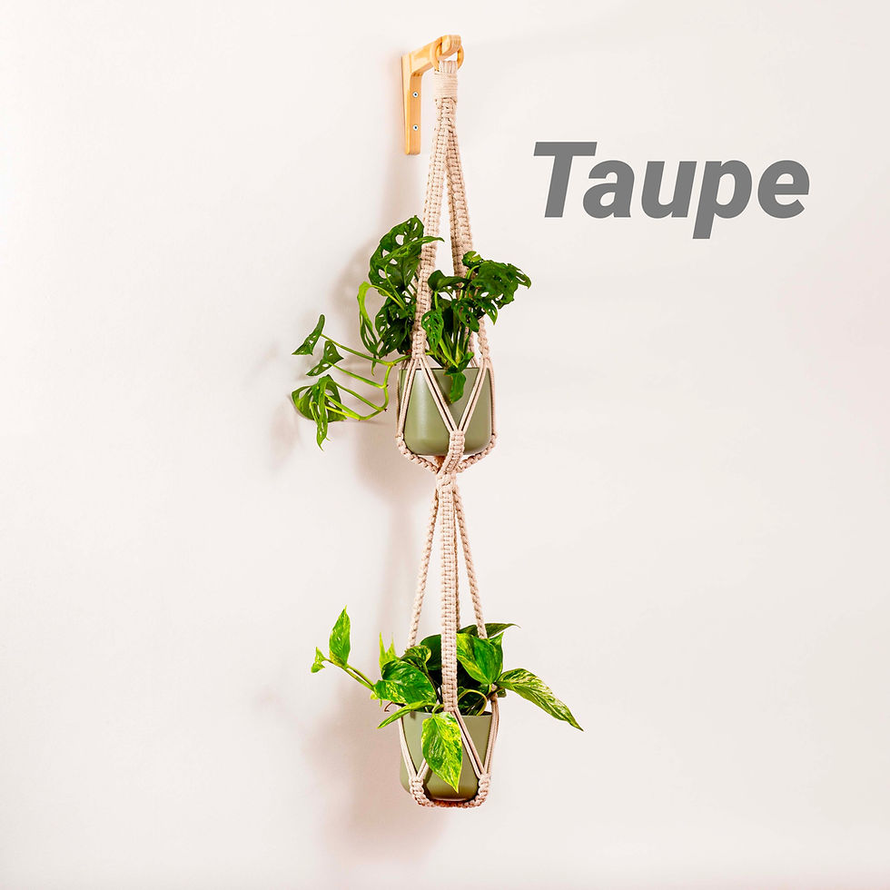 Thumbnail: Double Plant Hanger - One Colour