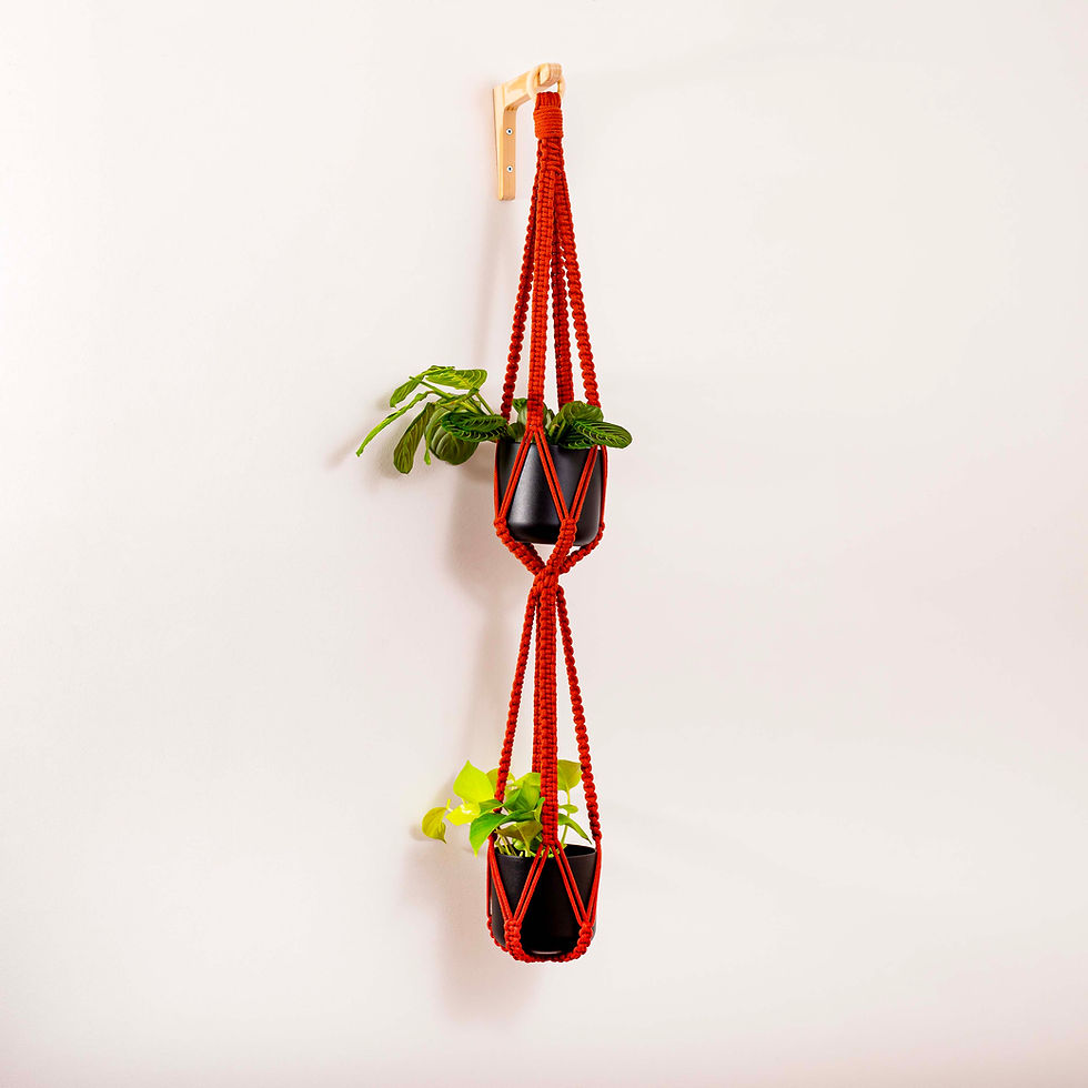 Thumbnail: Double plant hanger in brick colour