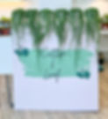Cotton & Leaf Houseplants for sale