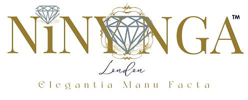 EinS by N Logo
