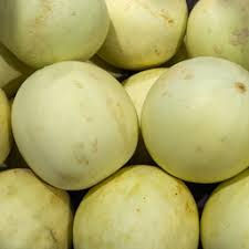 Melon miel