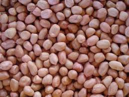 Graines d'arachides