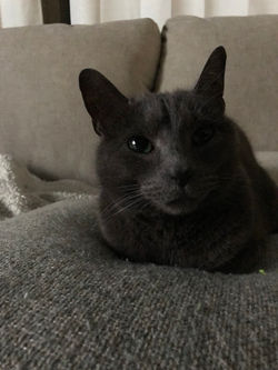 65742570332__AA1CE24D-C2CA-42FD-967D-1CDCD381818A