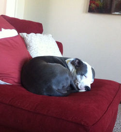 10470789_10204003666393223_3635734181643372111_n