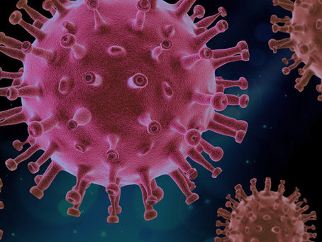 Cosa sono i virus? caratteristiche e principali meccanismi di azione