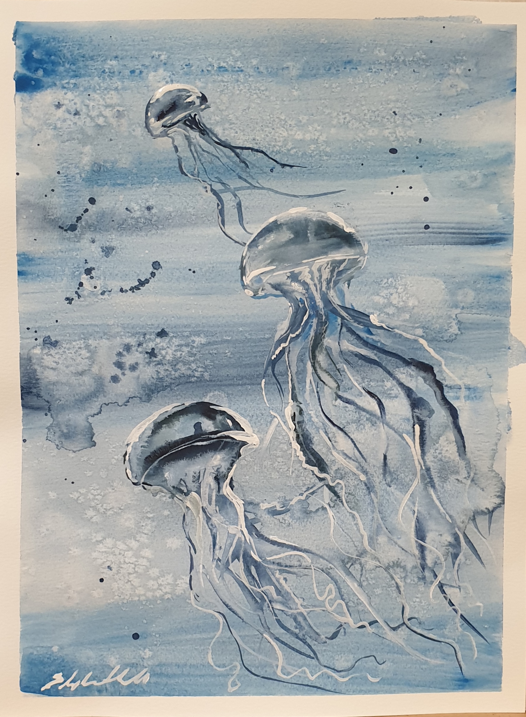 Ocean water jellyfish