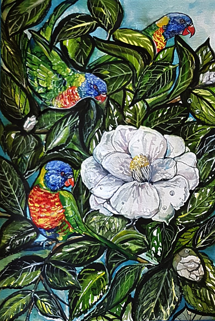 Rainbow lorikeets with Camellias
