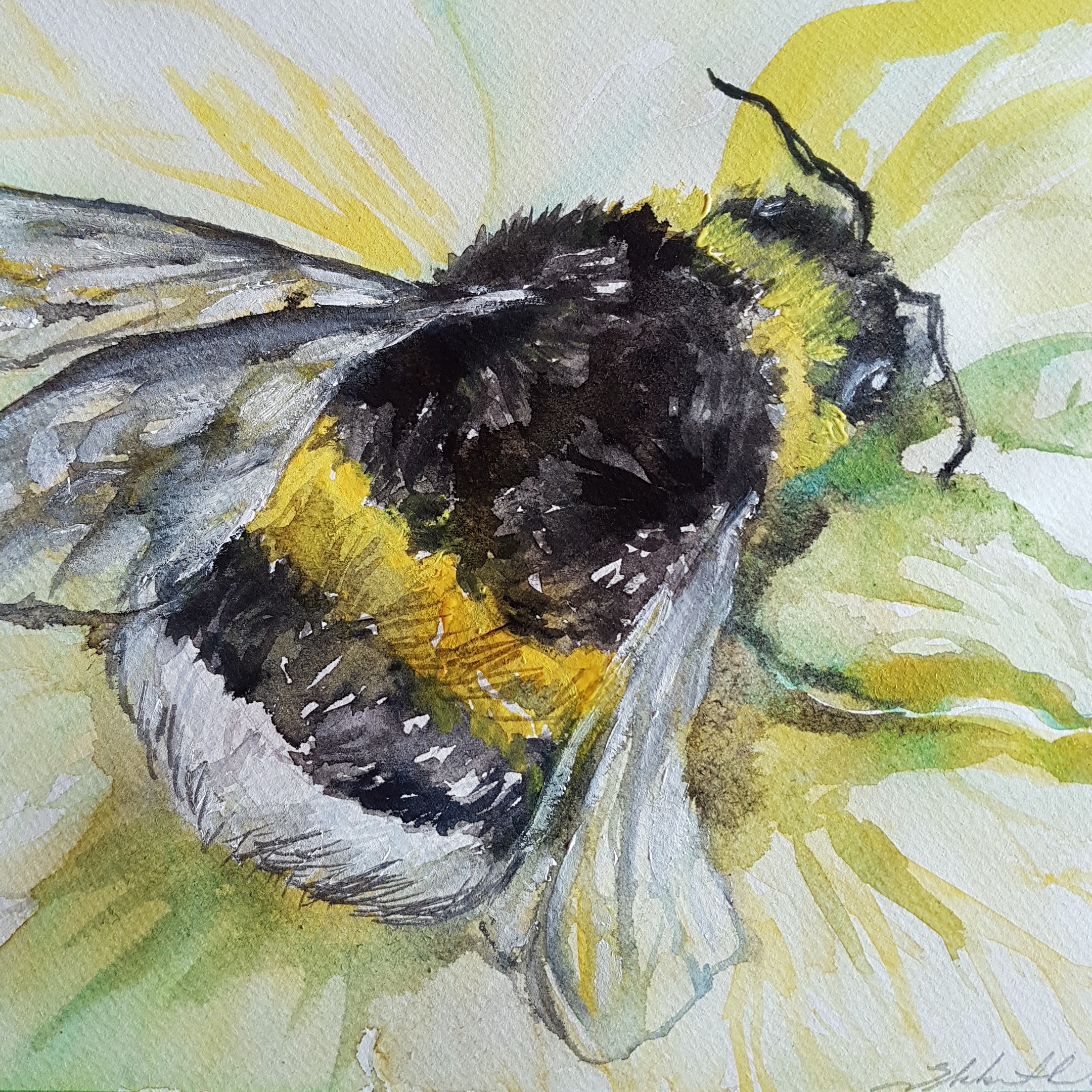 Bumble Bee Walk