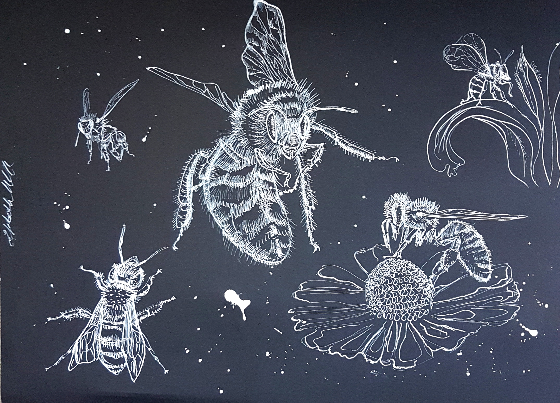 The pollinators