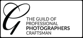 cr-professional.png