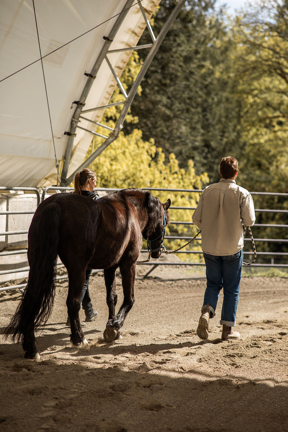 Embodied Relations: An Equine Guided Workshop