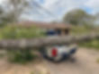 Pensacola Storm Debris Removal