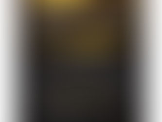 Seminário Internacional – ¿VIVIMOS UN ESTADO AUTORITARIO DE DERECHO?