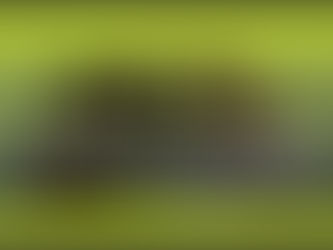 Seminário de Teoria Crítica dos Direitos Humanos chega à 13ª edição em 2023