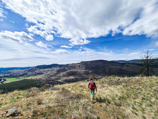 Top 10 Tips for Hiking in the Spring