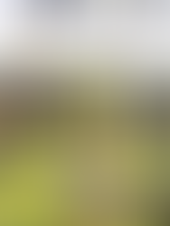 Pinterest Pin 10 Tips Hiking in Hot Weather