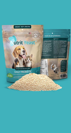 Nutrit Yeast 1.png