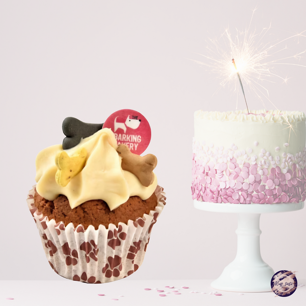 Miniaturbild: Wufftastische Geburtstagsbox