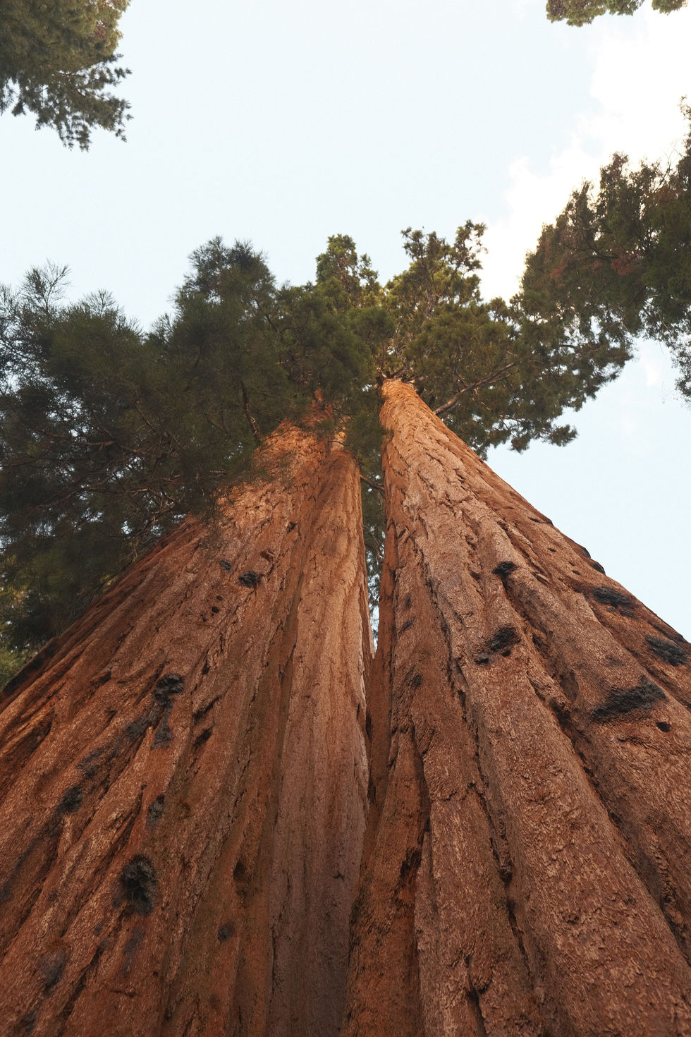 4C38C641-93AD-4E5E-94AD-6C688A33E462 - Copy